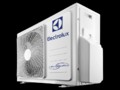 electrolux-evolution-out
